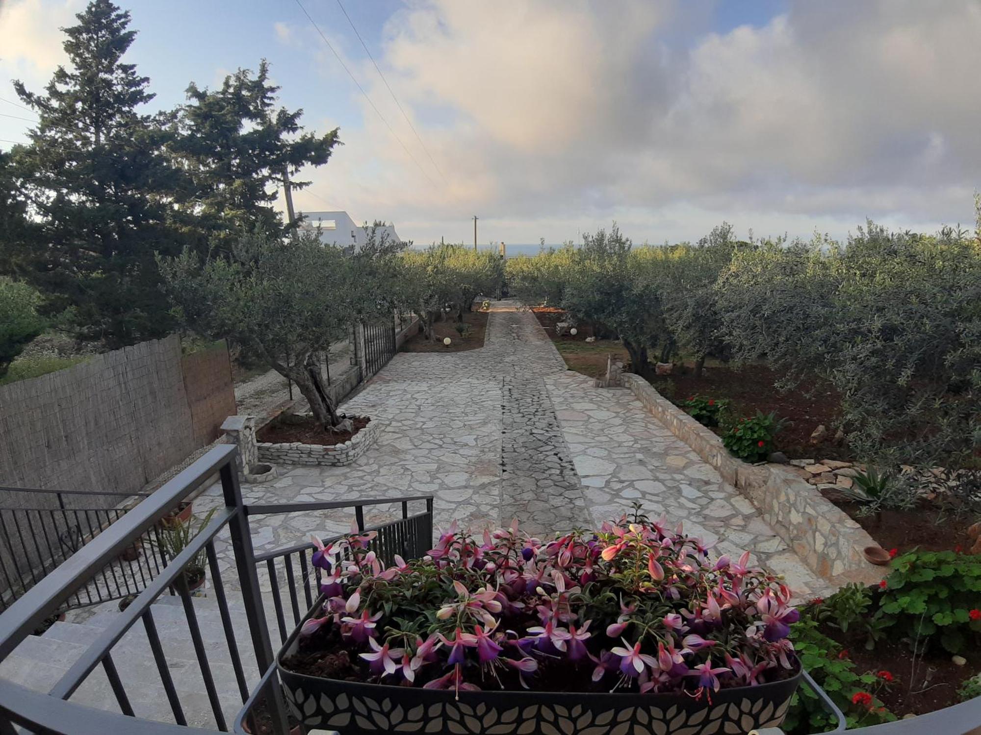 Villa L'Orizzonte Di Calabianca Castellammare del Golfo Exterior foto